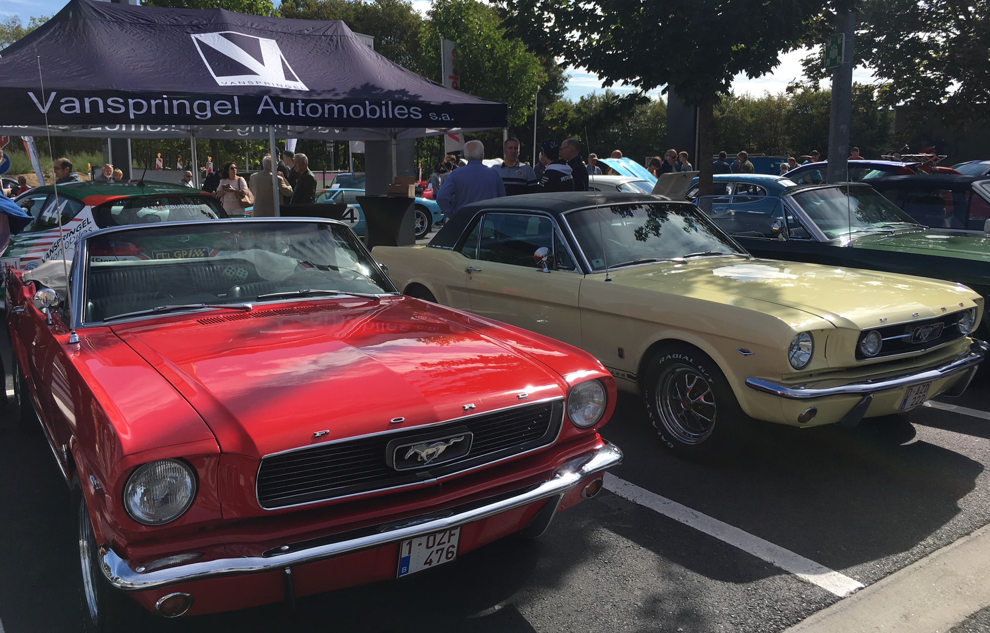 Ford days Vanspringel Dream Collector Ford days Vanspringel Dream Collector