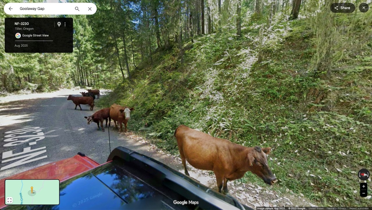 Ford TransAmerica Trail Ford TransAmerica Trail