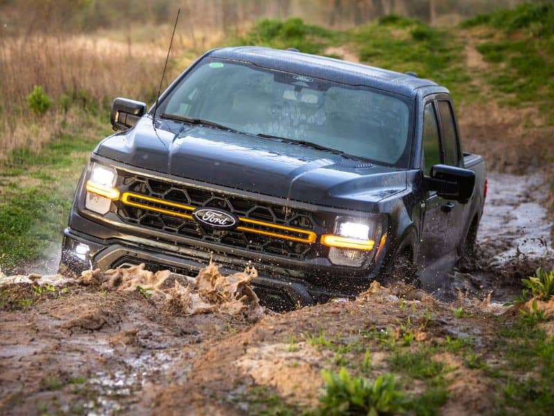 Picape Ford F-150 Tremor em ambiente off road