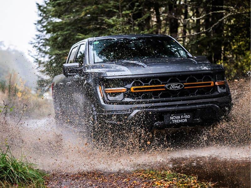 Picape Ford F-150 Tremor em ambiente off road