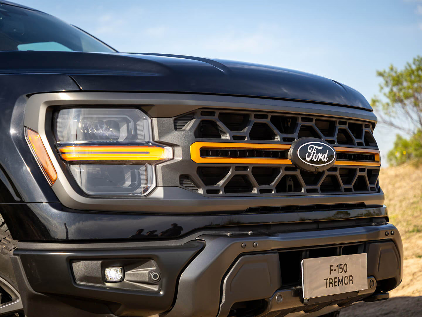 Ford F-150 Tremor