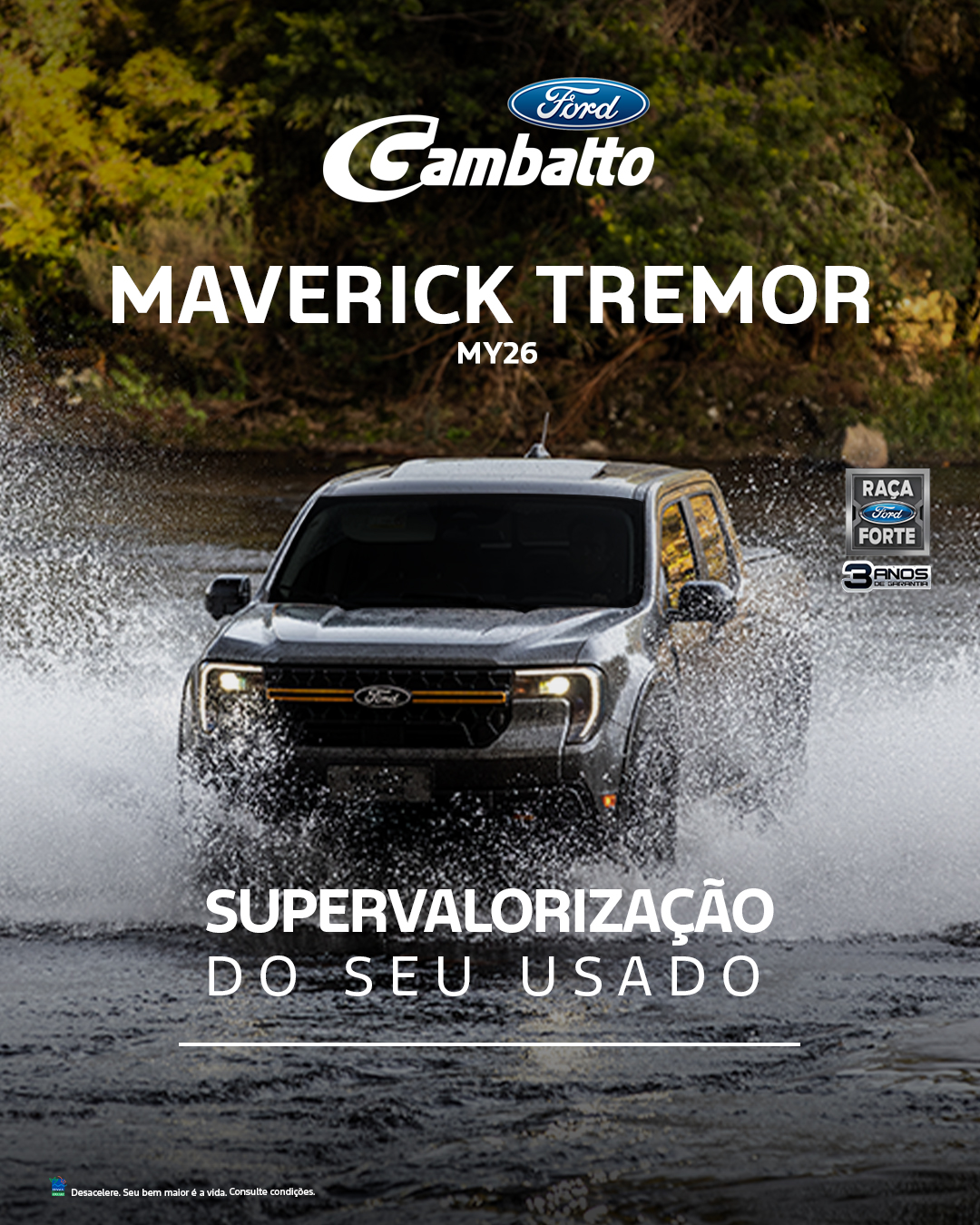 Arte da campanha