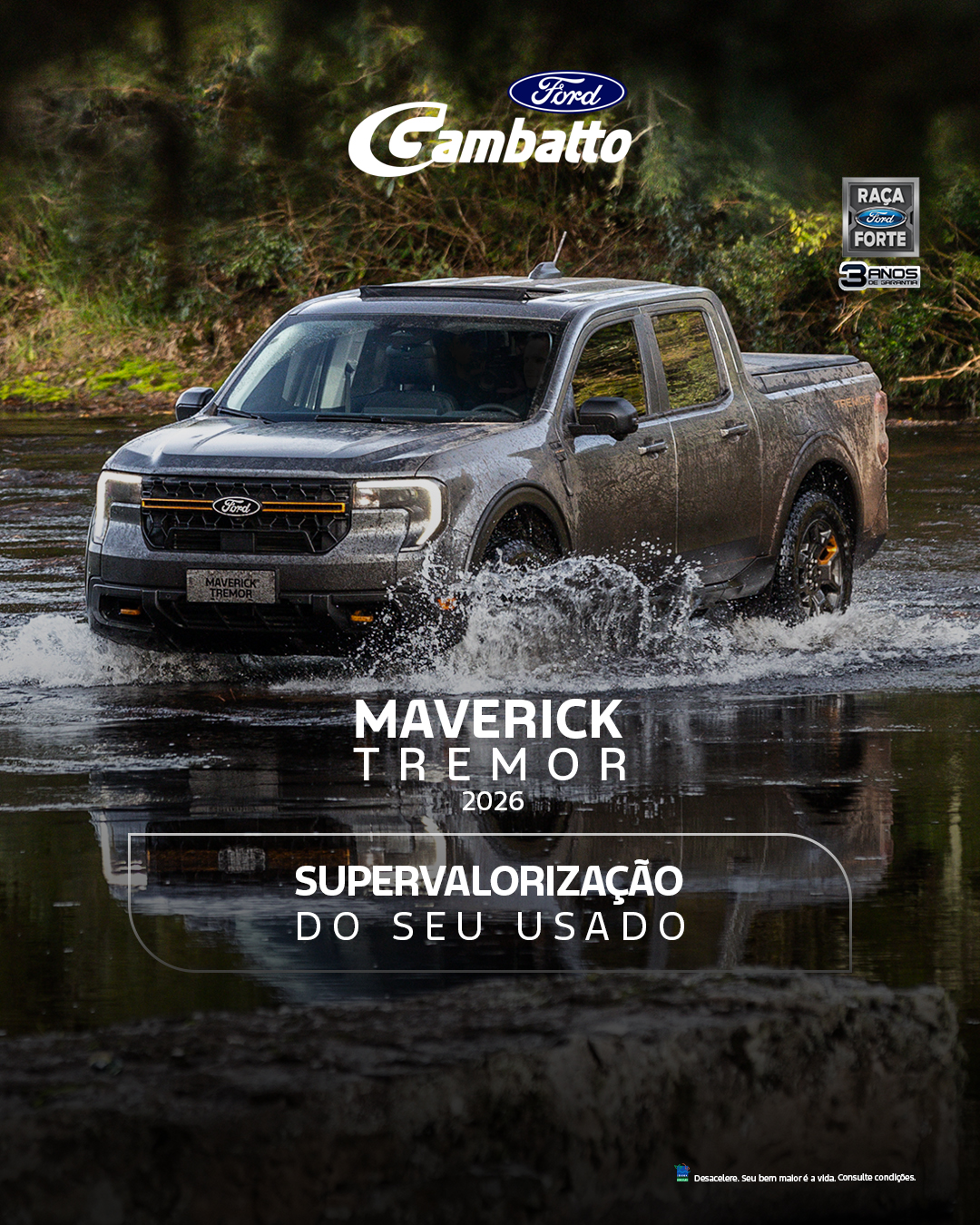 Arte da campanha