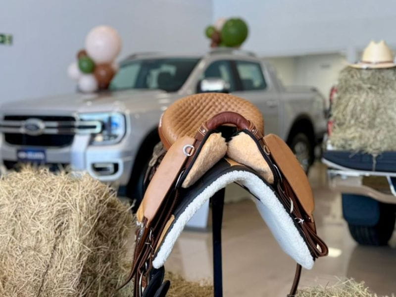 Compare e Compre Ford Atlanta Sela de cavalo perto de blocos de feno com picapes Ford ao fundo