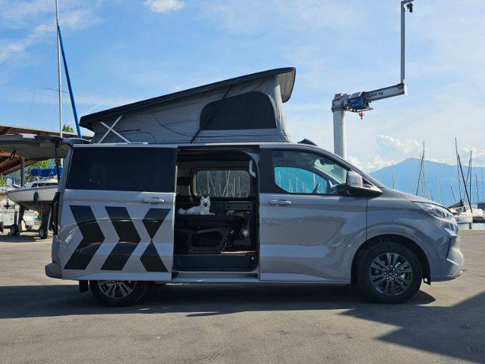 Tourneo Custom Seitenansicht mit geöffneter Tür und kleinem Hund im Inneren