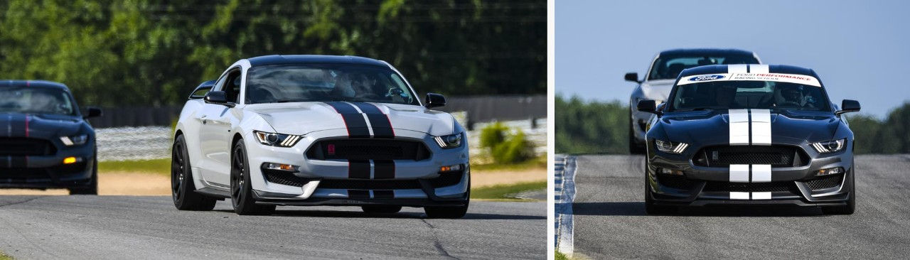 Ford Mustang Shelby GT350 MagneRide und TREMEC
