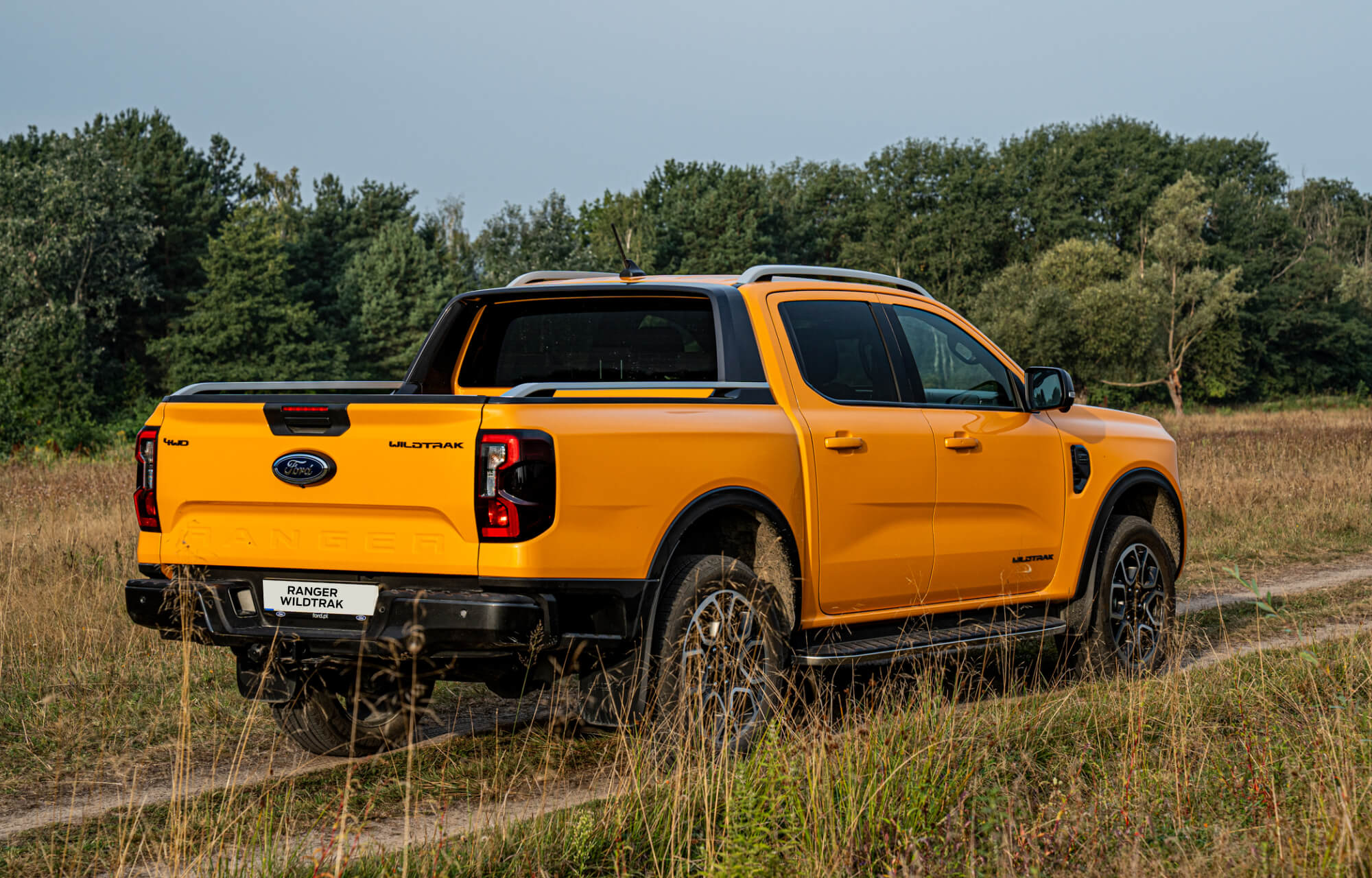 Ford Ranger Wildtrak - tył