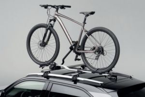 Thule Fahrradträger Expert 298