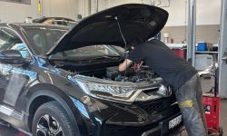 Service / Reparaturen