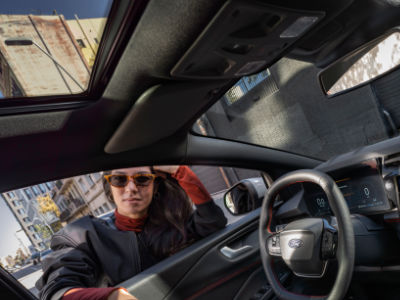 Ford Puma - Panoramadach