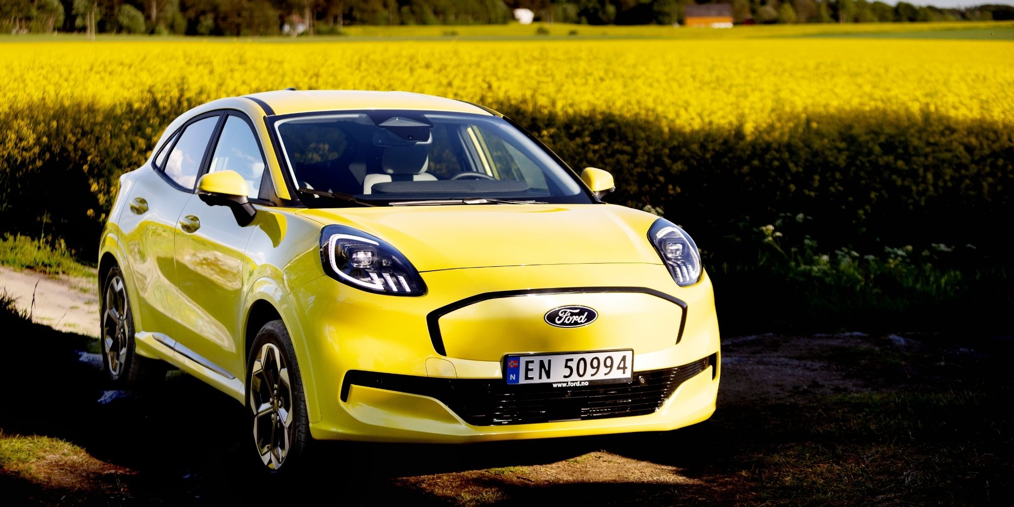 Ford Puma ved rapsmark