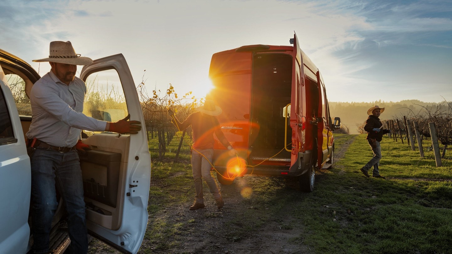 Ford Transit dans un vignoble