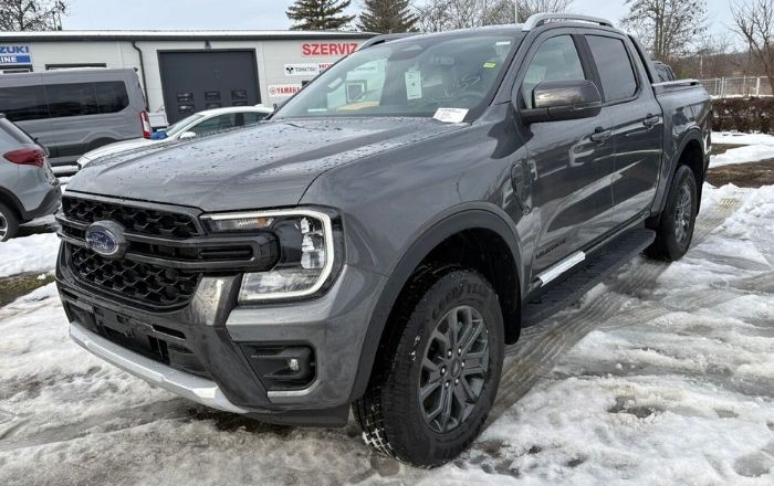 Ranger Wildtark Grey