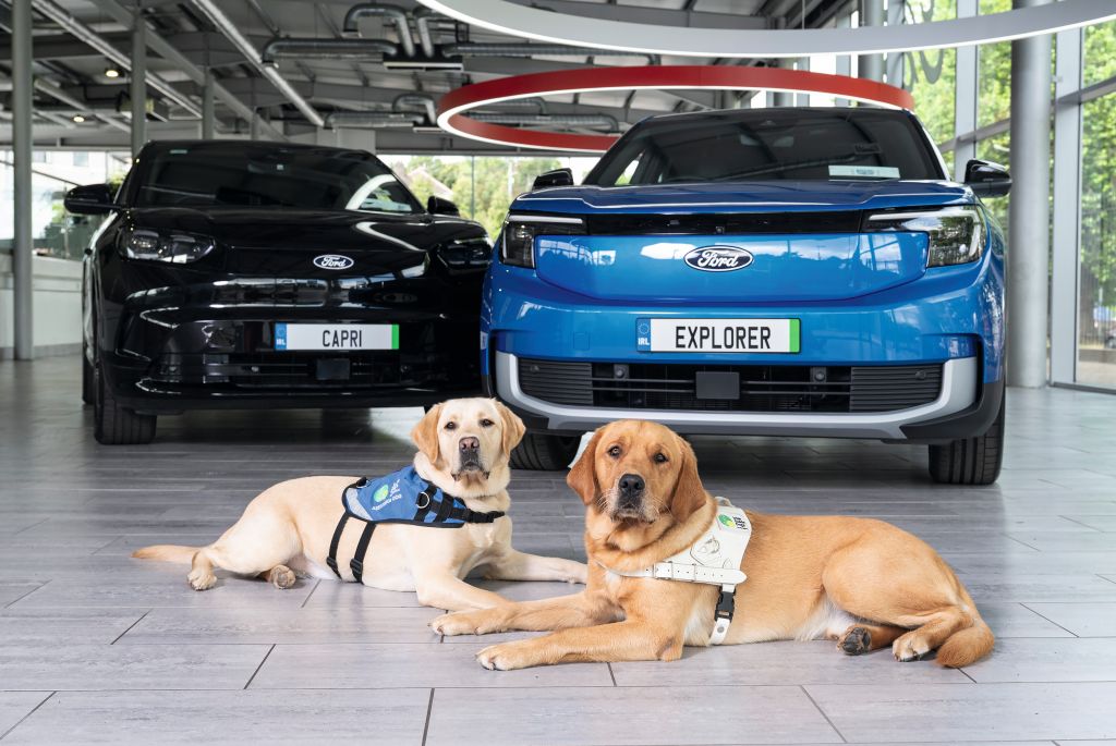 Irish Guide dogs and Ford Explorer Irish Guide dogs and Ford Explorer