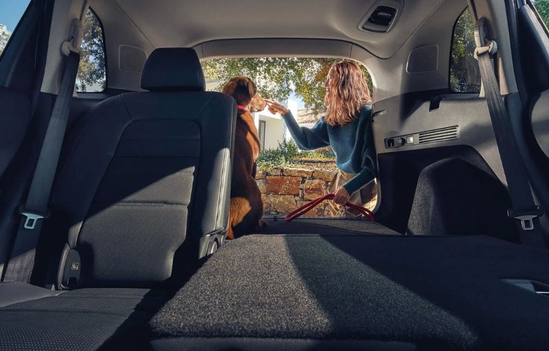 Woman, dog and CR-V