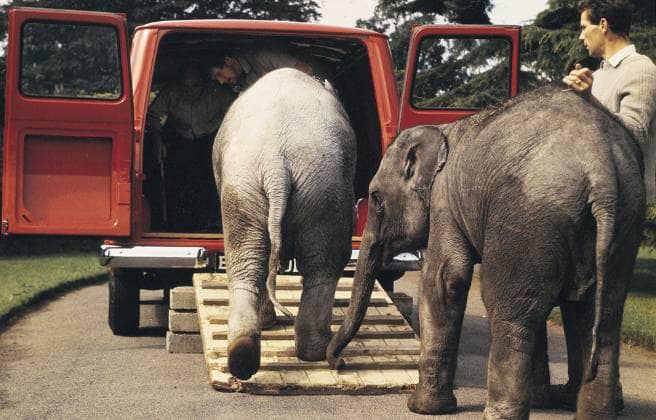 Veel ruimte in de Transit voor slurfen