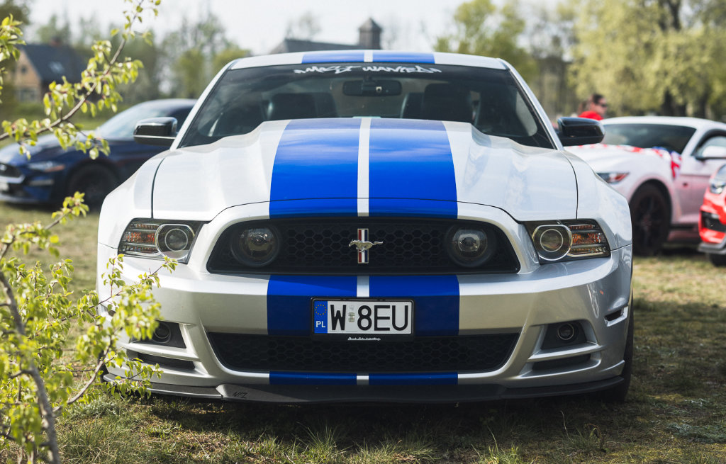 Niebieski i biały Mustang