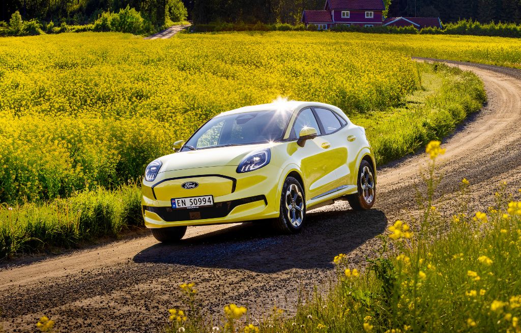 Blomster og Ford Puma