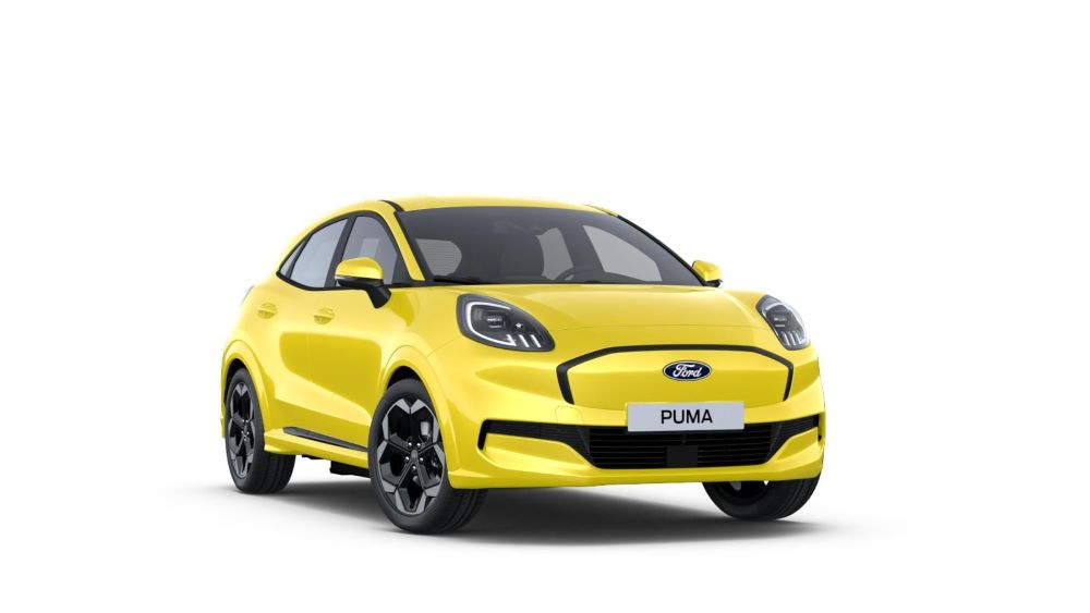 Gul Ford Puma