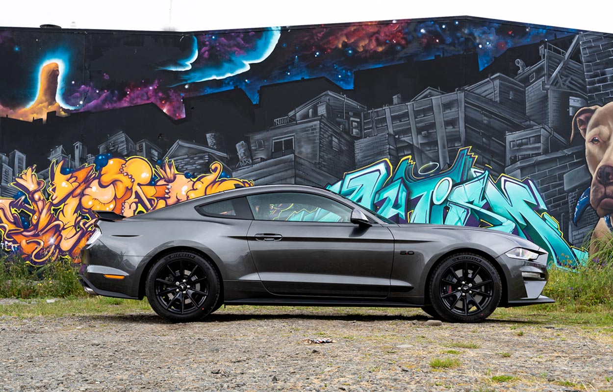 Team Hutchinson Ford - NZ's Ford Mustang Specialists Team Hutchinson Ford - NZ's Ford Mustang Specialists