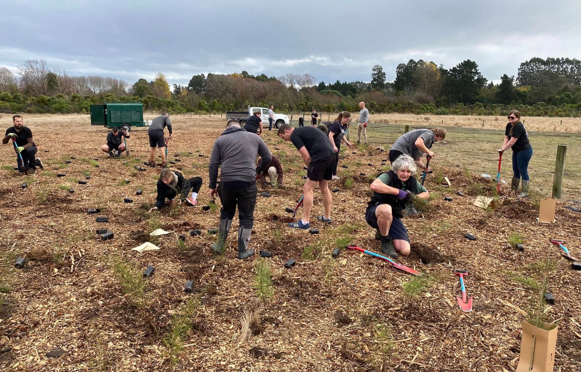 Trees for Canterbury Trees for Canterbury