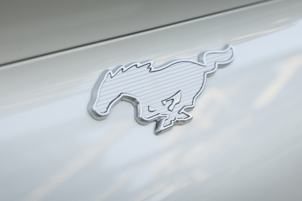 Logo Forda Mustang Mach-E