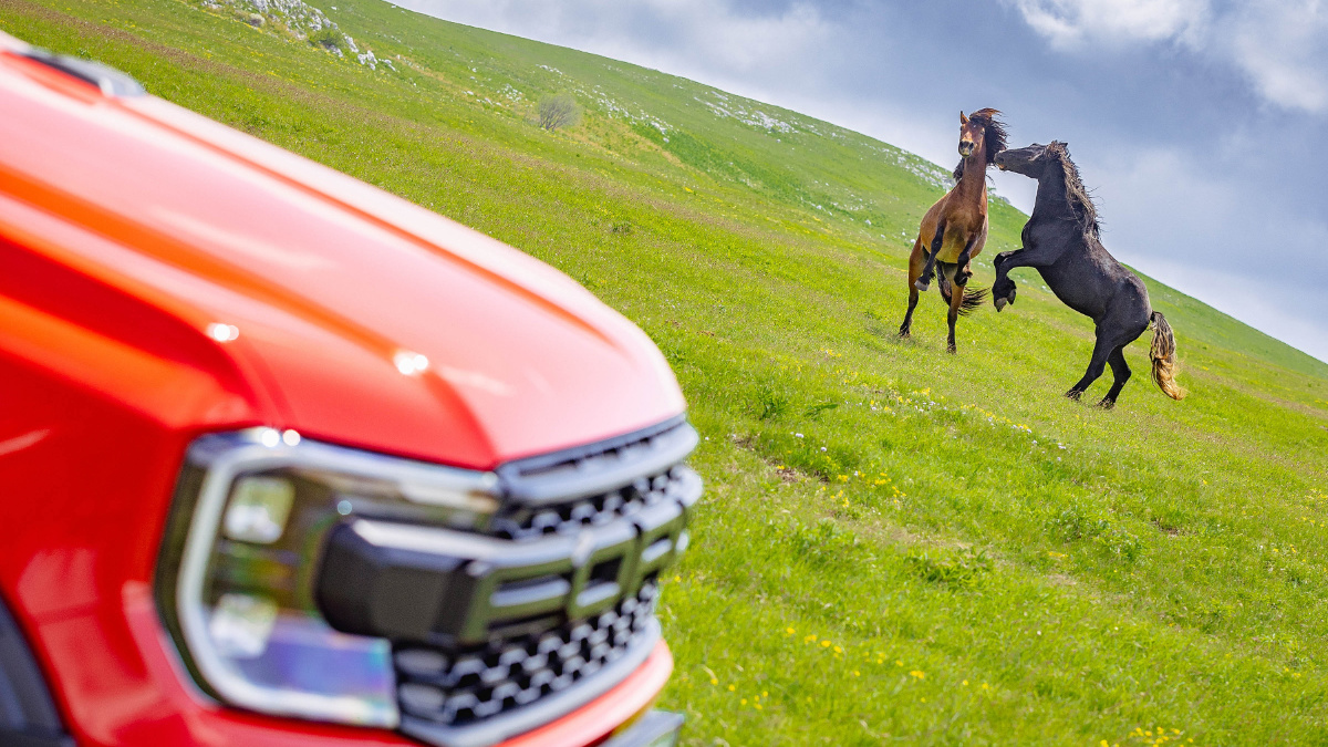 Ford Ranger Raptor w otoczeniu dzikich koni Tabuny z Livna