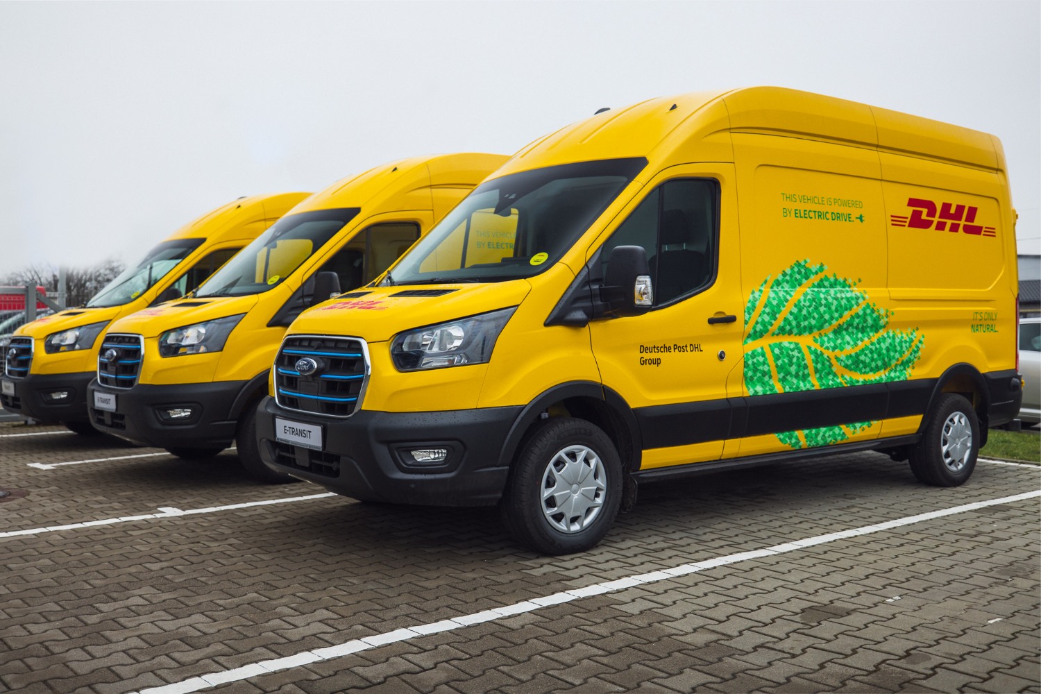 Atrakcyjny cenowo Ford Transit Connect dla osób z ograniczoną sprawnością