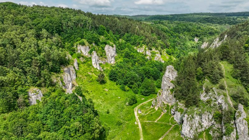 Jura Krakowska-Częstochowska 