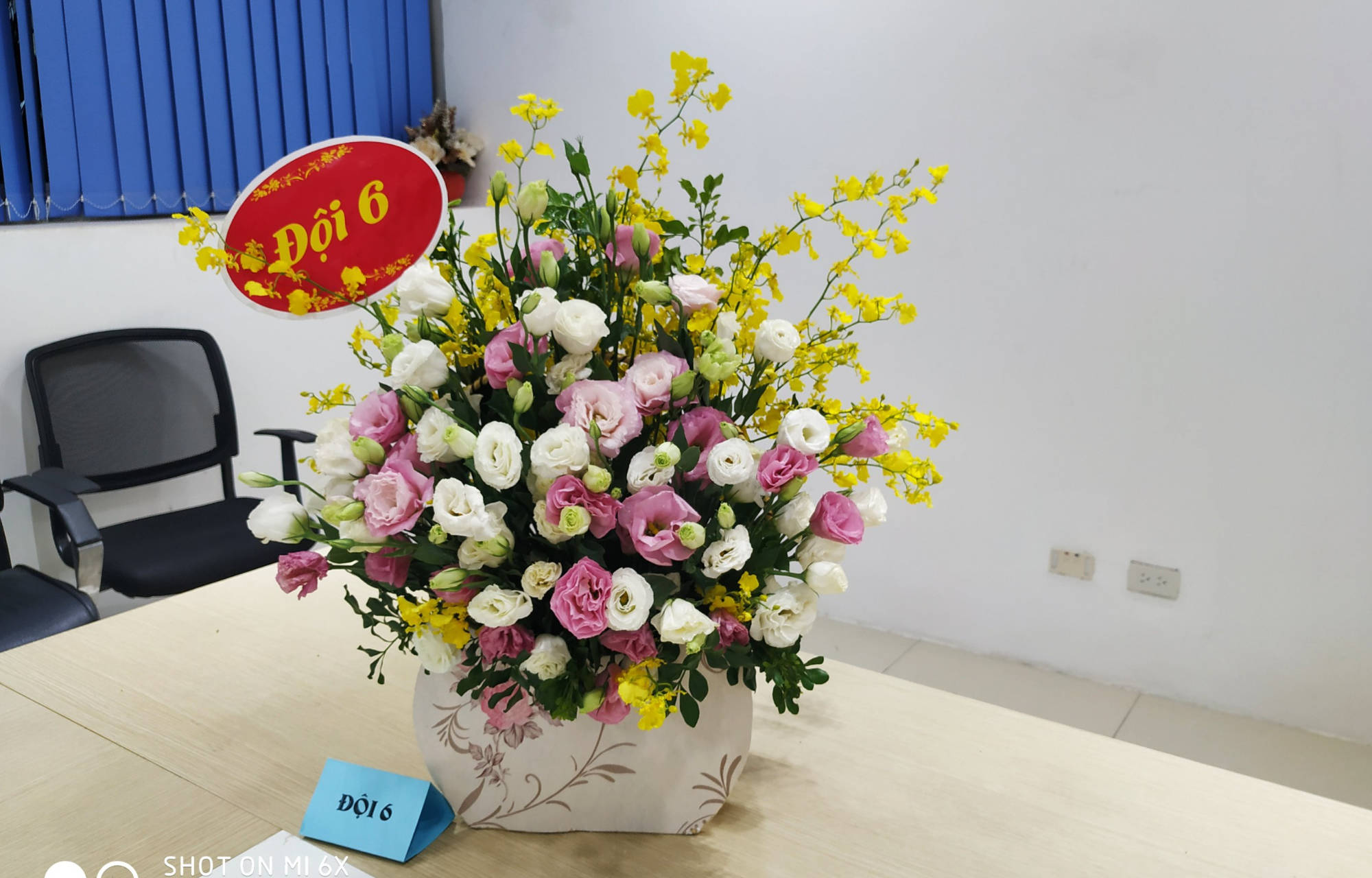 thanh-hoa-ford