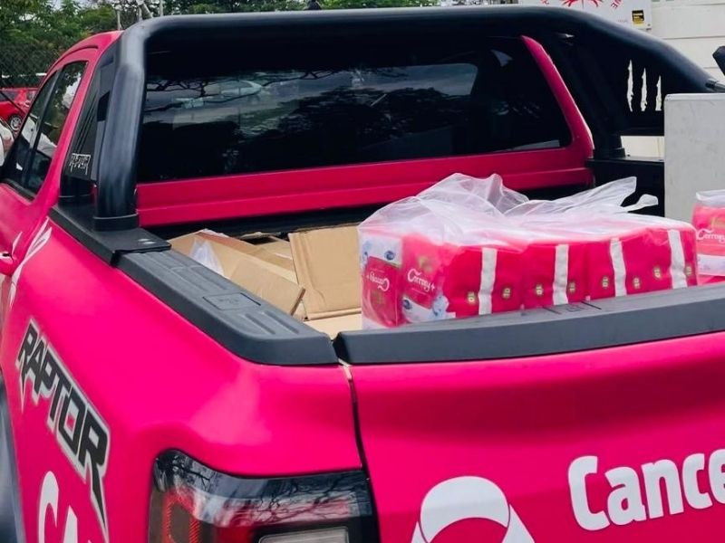 Pink Ranger Raptor rear the rear of pink raptor